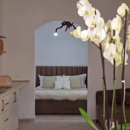 Green Villa Дом отдыха Влёра