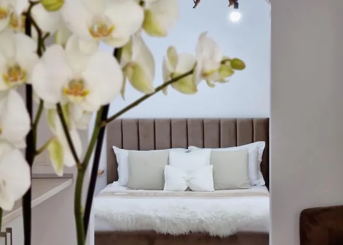 Green Villa Hébergement de vacances Vlorë