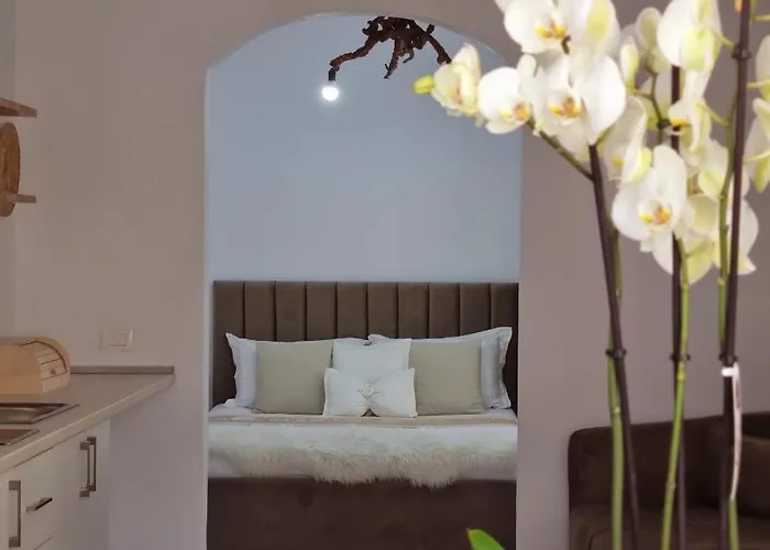 Green Villa Hébergement de vacances Vlorë