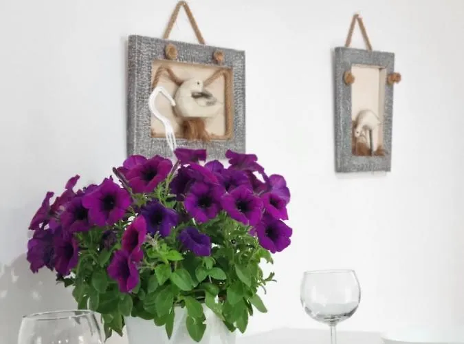 Green Villa Hébergement de vacances *