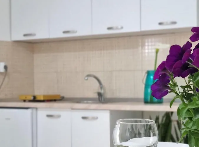 Hébergement de vacances Green Villa *